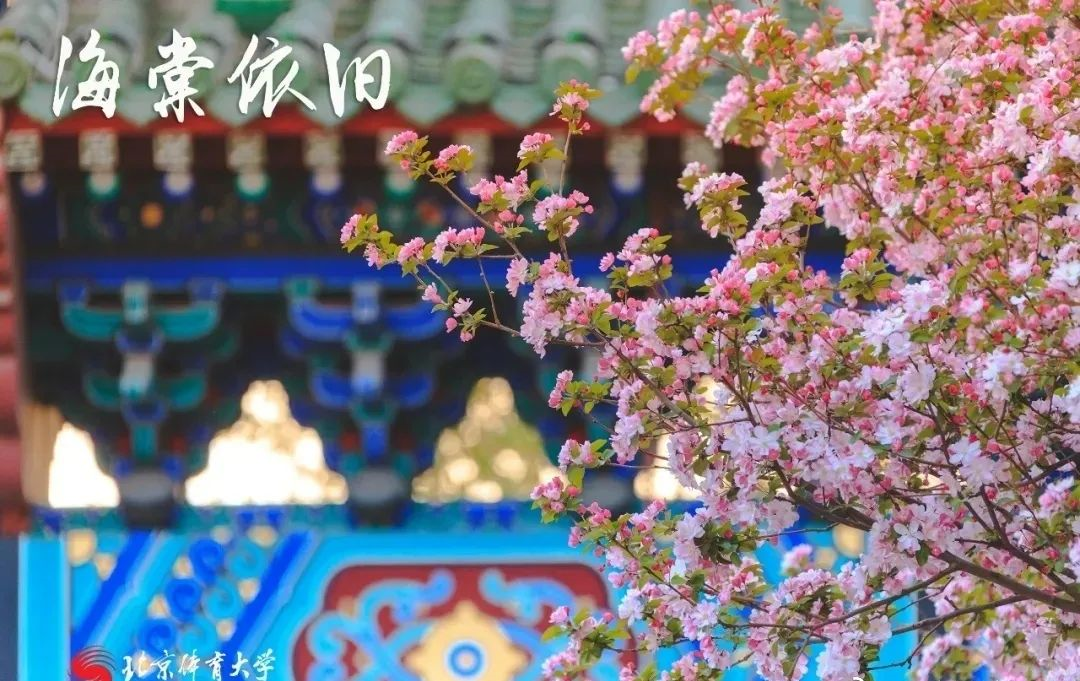 04512f096434482388cb10240845f7a7.png image.png